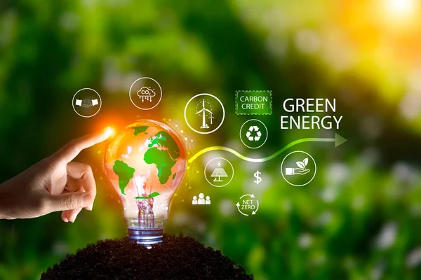Grönt Energisystem Affärsman Pekar Glödlampa Grön Bakgrund Nettonoll 2050 Grön Stockfoto