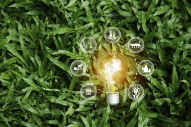 Yeşil çimen arka planındaki ampulün etrafında sürdürülebilir yeşil enerji ikonu. Dünya için önemli olan yeşil enerji yenilenebilir. Çevre koruma, yenilenebilir, sürdürülebilir.