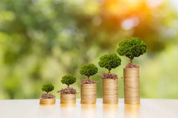 idea growing. Green tree growing on gold coins. Growing power of compound interest. Prosperous stock investment. Savings. Financial graph showing inflation. stock market chart growth investment.