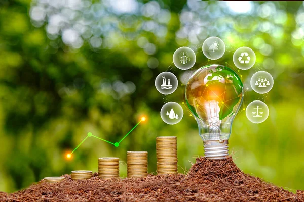 Green tree growing on pile of gold coins. light bulb on green nature background green energy icon around it. Investing in the environment, society, governance. ESG Investing in the industrial.
