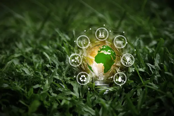 Energy Renewable sustainable. green world in bulb on nature green grass background. light bulb energy sources for renewable. idea innovation inspiration. Net zero emission  Environmental protection.