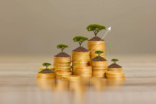 invest concept. Green tree growing on gold coins. Growing power of compound interest. Prosperous stock investment. Savings. Financial graph showing inflation. stock market chart growth investment.