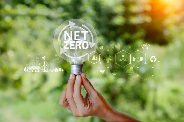 Net zero in 2050 year ESG, eco concept  for environmental, social, sustainable and ethical,  net zero icon in light bulb on green nature with clean energy icon around it on green grass background.