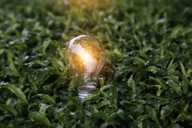 Yeşil enerji konsepti. Çimen doğasında ampul, eko yeşil enerji sistemi. Yenilik teknolojisi eko enerji. Yenilenebilir enerji kaynakları için ampul. İnovasyon ilhamı kavramı. Fikir yenilikçi.