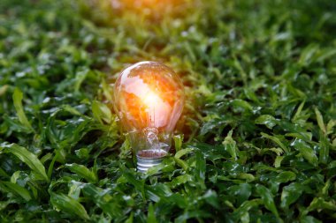 Yeşil enerji konsepti. Çimen doğasında ampul, eko yeşil enerji sistemi. Yenilik teknolojisi eko enerji. Yenilenebilir enerji kaynakları için ampul. İnovasyon ilhamı kavramı. Fikir yenilikçi.