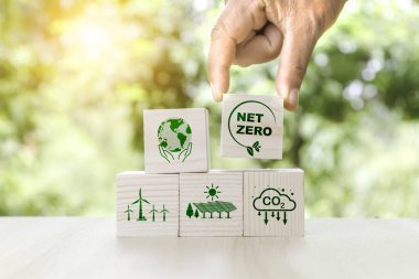 Ağaç kutusunda ağ sıfır simgesi. Altın ışık sabahında yeşil yaprak bulanıklığı. Çevresel, sosyal, sürdürülebilir ve etik için sıfır noktası. 2050 yılında sıfır emisyon fikri yenilikçi karbon nötr.