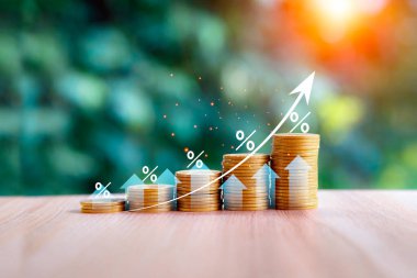 Gelir fonu kavramı. Tahta zemindeki bir grafikte altın sikkeler serilmişti. Gelecek ve emeklilik konsepti için para biriktiriyorum. Bileşik faizin gücü artıyor. sermaye yatırımları.