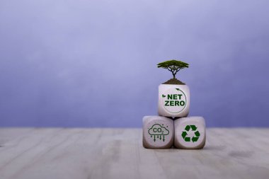 Ahşap kutuda ağ sıfır simgesi harikalar zemininde beton arka planda. Çevresel, sosyal, sürdürülebilir ve etik için sıfır noktası. 2050 yılında sıfır emisyon fikri yenilikçi karbon nötr.