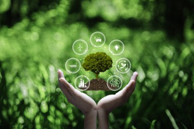 Yeşil enerji kavramı küresel ısınmayı azaltmaya yardımcı olur