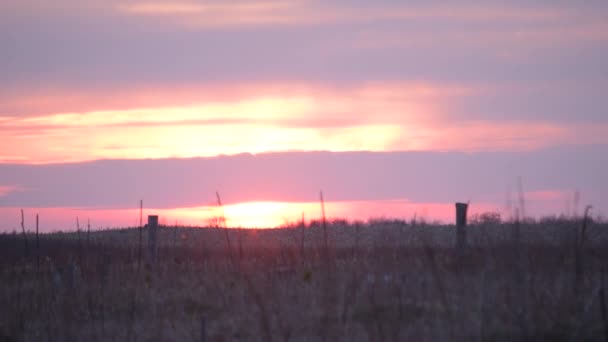 Malowniczy Upływ Czasu Zachód Słońca Wieczornym Blaskiem Nad Wiejskim Polem Klip Wideo