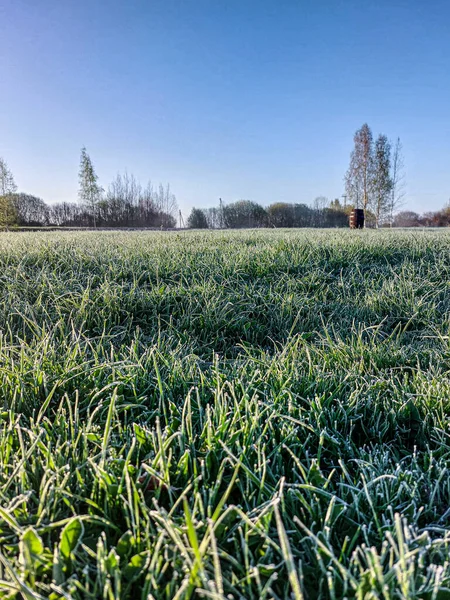 stock image Frost in the early morming