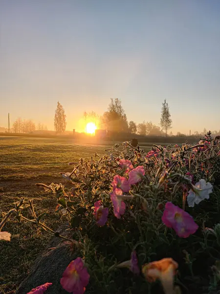 Sabah sahnesi, güzel gün doğumu