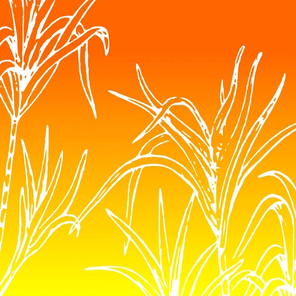 Çiçek vektör tasarımı renk derecelendirme illüstrasyonu