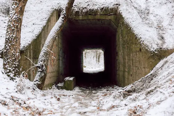 Ormanda eski bir tünel Bir kış günü