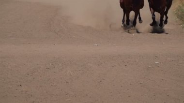 At yarışı. Toz ve kir yükselterek yarış pisti atların ayakları. Yakın çekim. Ağır çekim.