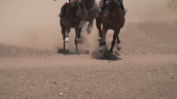 Koňské Dostihy Nohy Koní Závodišti Zvyšování Prach Nečistoty Zblízka Zpomalený — Stock video
