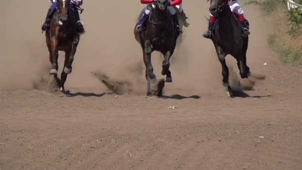 Horse Racing Feet Horses Racetrack Raising Dust Dirt Close Slow — Stock Video