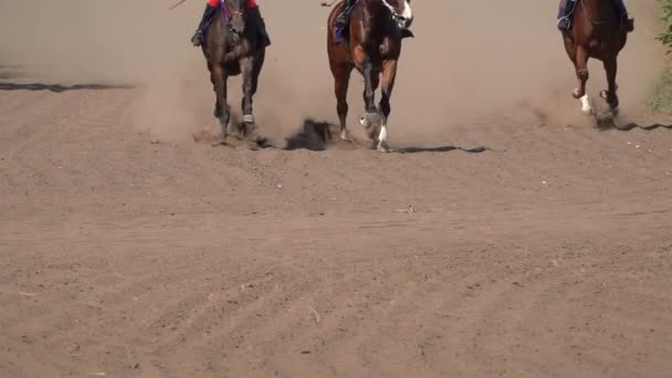 Course Chevaux Feet Horses Racetrack Raising Dust Dirt Gros Plan — Video