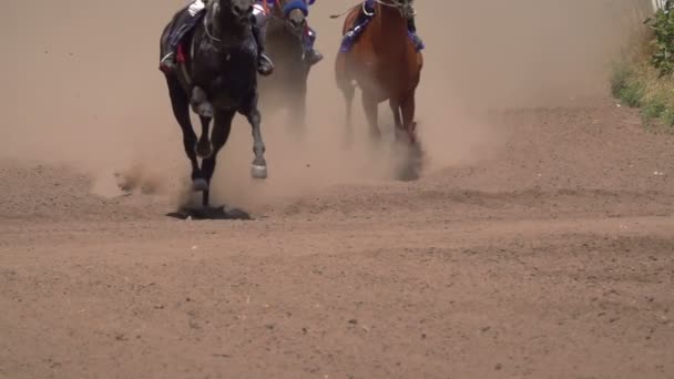 Corse Cavalli Piedi Dei Cavalli Racetrack Raising Dust Dirt Chiudere — Video Stock