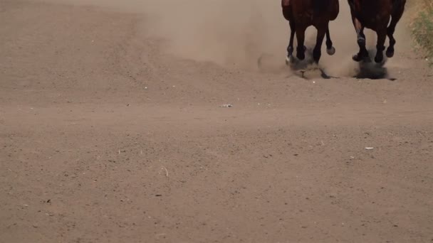 Course Chevaux Feet Horses Racetrack Raising Dust Dirt Gros Plan — Video