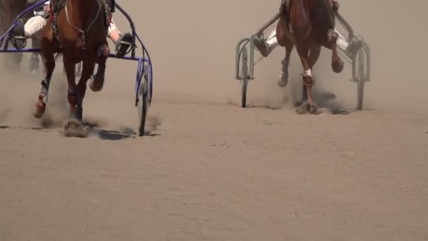 赛马会上的赛马和跑马的蹄子 慢动作 — 图库视频影像