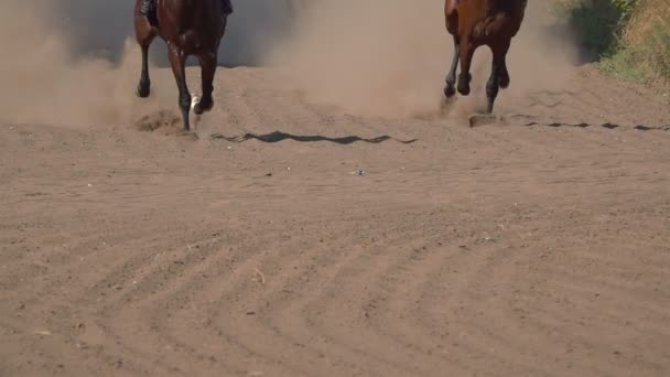 ほこりや汚れを上げる競馬場で馬のフィート クローズ アップ スローモーション — ストック動画