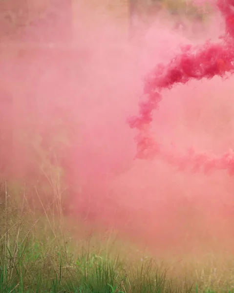pink and coral smoke on green grass and stone wall in the park background
