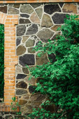 Tuğla duvar dokusu, yeşil yapraklı taş, parkta.