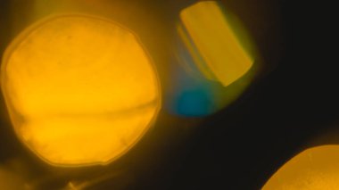 Altın sarısı bokeh soyut ışık sızıntısı arka plan, doğa dairesi dokusu