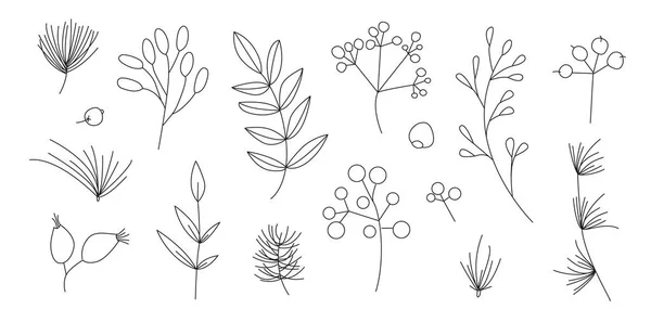 冬の植物要素 装飾のための輪郭Xmas要素のエレガントなセット 冬の果実と花のシンプルな形 — ストックベクタ