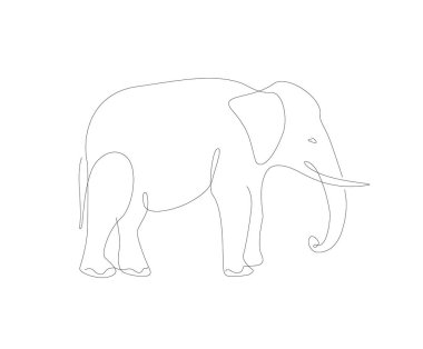 Elephant line art illustration. African animals single line