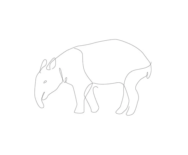 Tapir Line Art Illustration Unusual Animal Vector Outline — Stock Vector