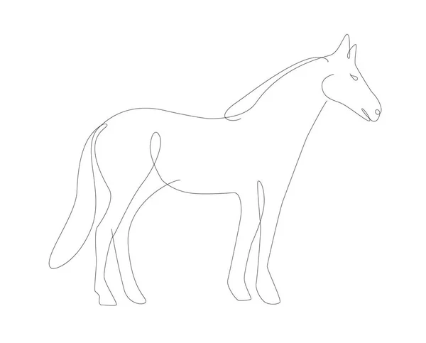 Koń Jeden Wiersz Ilustracji Pojedyncza Linia Zwierzęta Domowe Linii Sztuki — Wektor stockowy