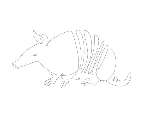 アルマジロ1行のイラスト 一本の線画珍しい動物 — ストックベクタ