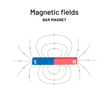 Bar magnet infographic print for school. Magnetic Fields education poster. Magnetism explanation clipart