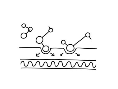 Yaşlanma karşıtı peptit derisi moleküler şeması. Cilt bakımımız için serum tedavisi. Karalama el çizimi