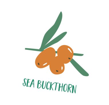 Beyaz arka planda gül rengi deniz dikenleri çizilmiş bir el. Bir sürü C vitamini içeren böğürtlen. Vejetaryen ve vejetaryen diyeti için sağlıklı yiyecekler. Antioksidan içeceği.