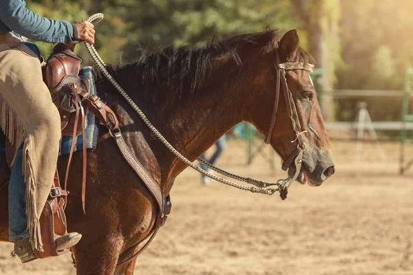 Equitación Vaquero Granja —  Fotos de Stock