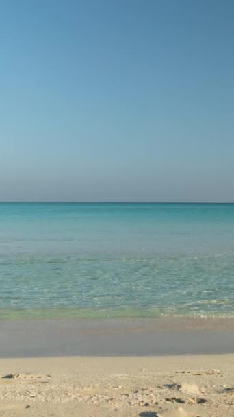 Praia Tropical Bonita Varadero Cuba Com Céu Azul Whitout Cluods — Vídeo de Stock