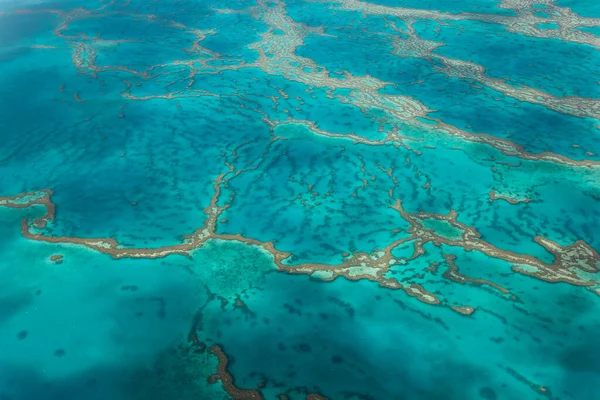 Great Barrier Reef Queensland Australia — Stock Photo, Image