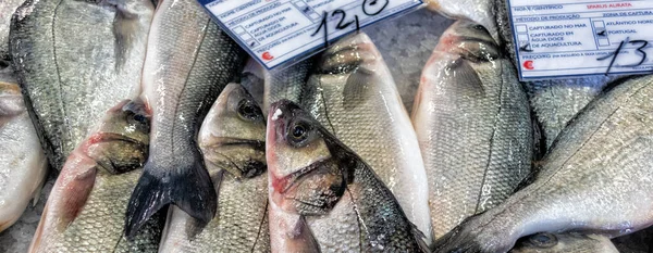 Guldbraxen Sparus Aurata Fiskmarknaden Tavira Algarve Portugal — Stockfoto
