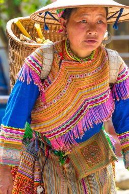 Çiçek Hmong kabilesinden bir kadın marketten eve dönüyor, Bac Ha, Vietnam.