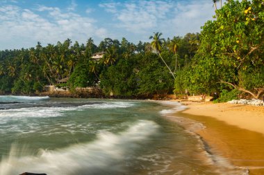 Mirissa plajı, Mirissa, Güney sahili, Sri Lanka