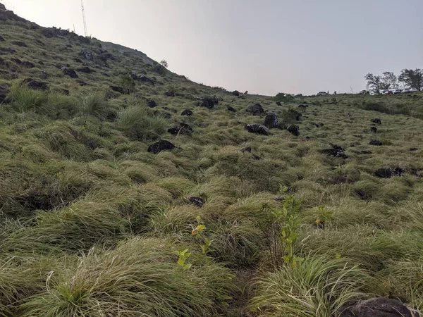 Hilly grassland in Ponmudi hill station in Kerala, India