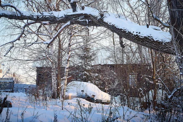 Village house in winter snow scene. Snow covered tree with snow drifts at a village house in winter