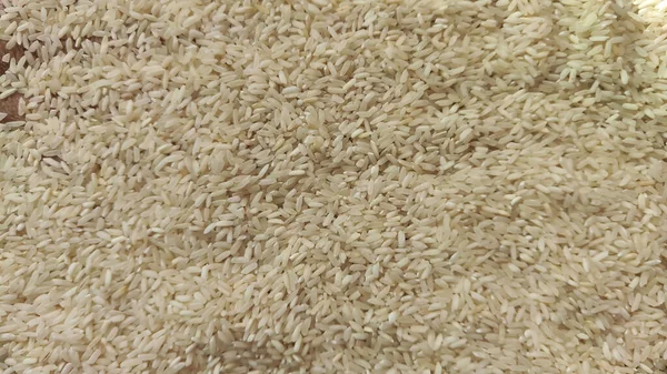 White cereal rice for background and texture. Product and food stored for a long time. Partial focus