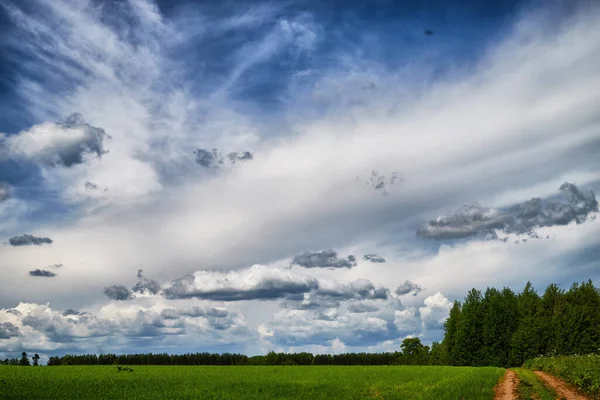 Beautiful white clouds in a blue sky over a green field or meadow with grass on summer, spring or autumn day. Nature and landscape with good weather. Background and copy space