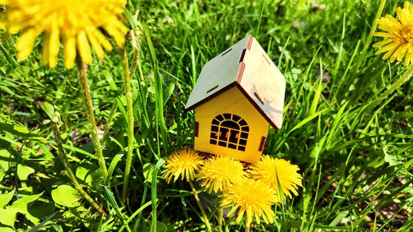 miniature toy house in grass and dandelion flowers, spring natural background. symbol of family. mortgage, construction, rental, property concept. Eco Friendly home. soft selective focus. copy space