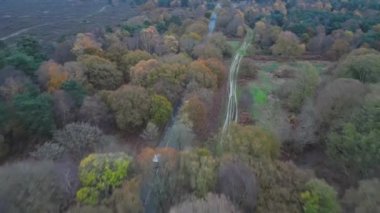 Suffolk, İngiltere 'de bir ormanın içinden geçen bir aracın 4k drone görüntüsü.