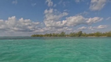 4k video of the mangroves in North Bimini, Bahamas